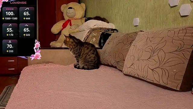 Miss Flexi fit online show from April 9, 2026, 4:56 pm