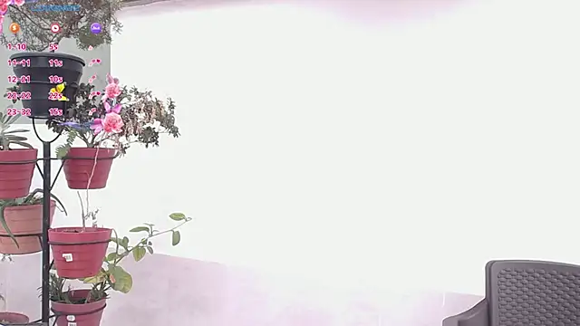 darshajaya online show from March 17, 2026, 7:39 pm