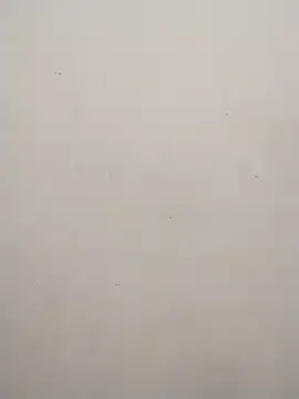 Shuttii 25 online show from February 10, 2025, 9:14 am