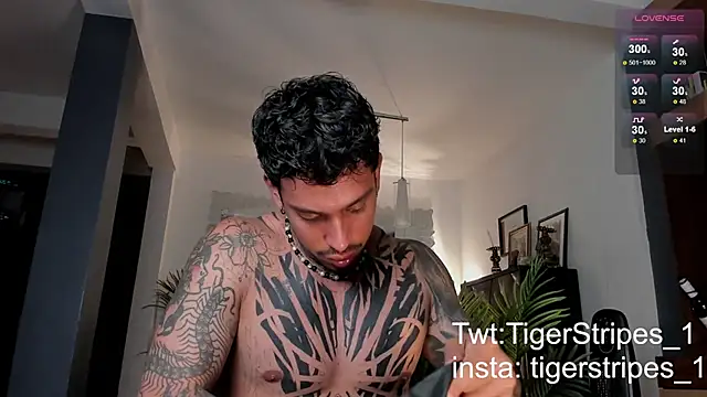 Snapshot of TigerStripes1_ chatting on February 28, 2025, 12:43 am TigerStripes1 online show from February 28, 2025, 12:43 am