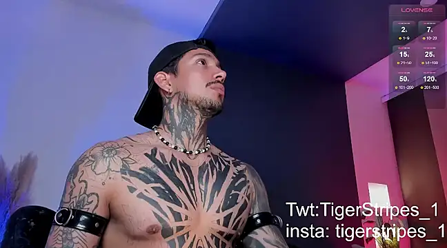 Snapshot of TigerStripes1_ chatting on March 16, 2025, 12:56 am TigerStripes1 online show from March 16, 2025, 12:56 am