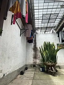 oliver price1 online show from September 10, 2025, 4:07 pm